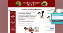 Desktop Screenshot of jack-russell-terrier-pictures.com
